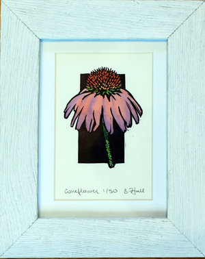 Coneflower