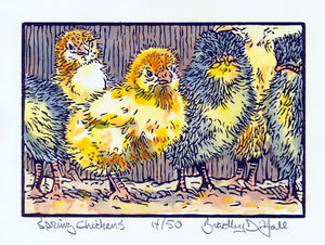 Spring Chickens