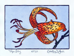 Tiger Lily
