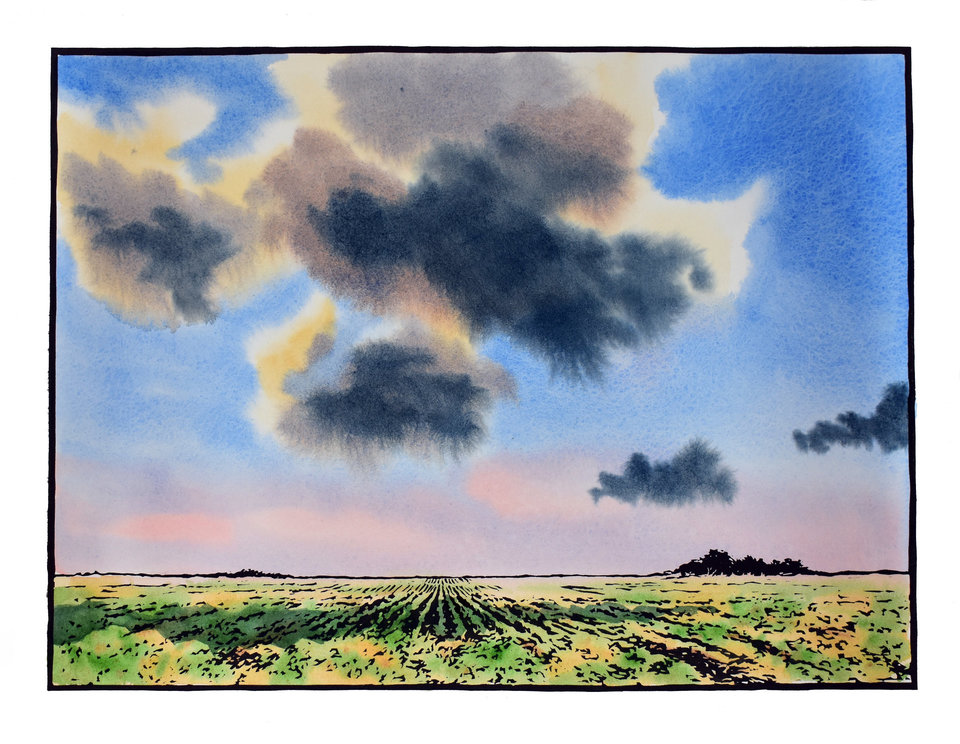 A Lovely Summers Evening