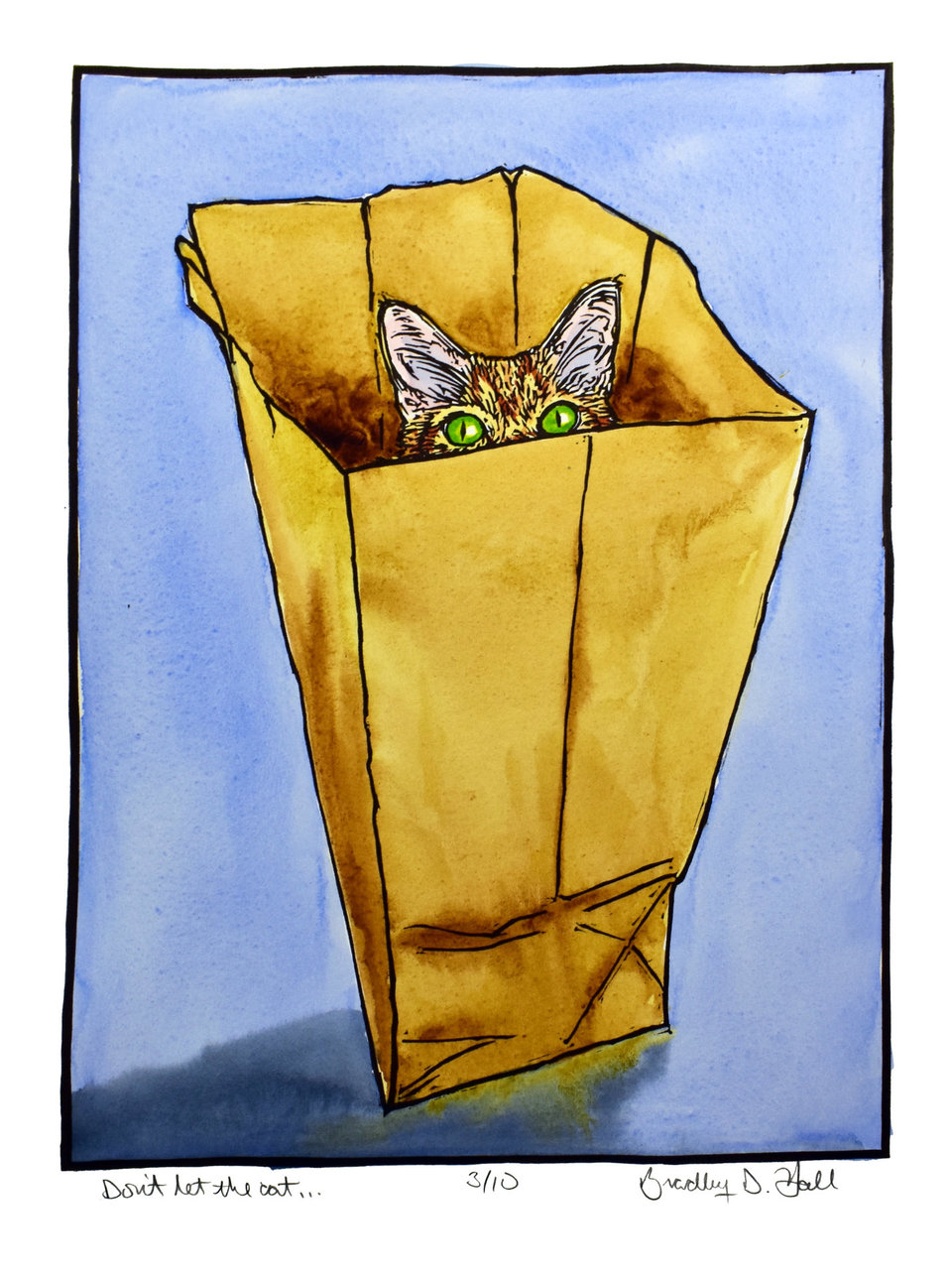 Don't let the Cat...