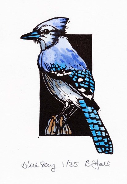 Blue Jay